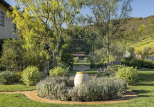 Real Estate Heaven REH FIGS Founders Spend $80 of Their Newfound Wealth on Brentwood Los Angeles Mansions Garden