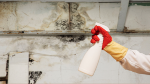 Real Estate Heaven REH In a recent study, photographers advise home sellers to clean your house Spray